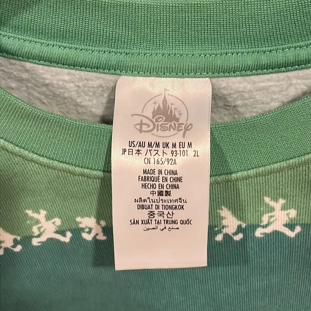 Disneyland Resort Green Striped Crewneck Sweatshirt